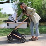 My Babiie MB500 2-in-1 Travel System - Dani Dyer Rose Gold Marble