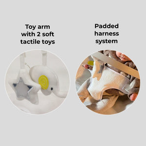 My Babiie Grey Baby Bouncer