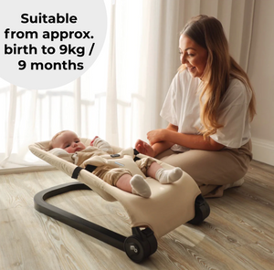 Reclining Baby Bouncer - Oatmeal