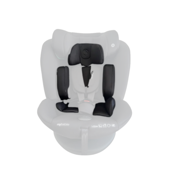 MBCS300 Seat Insert